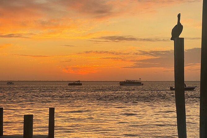 Sunset Dolphin Excursion