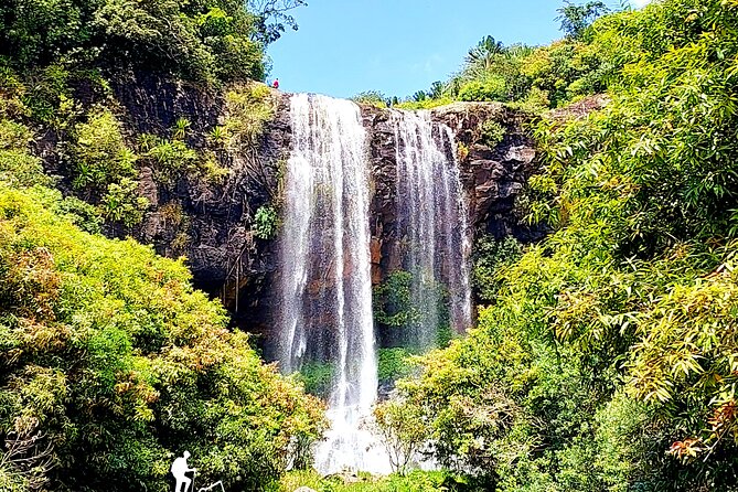 Tamarind Falls/7 Cascades Half Day Hike