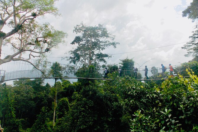 Tambopata Amazon Reserved Zone Exclusive Experience (6 Days)