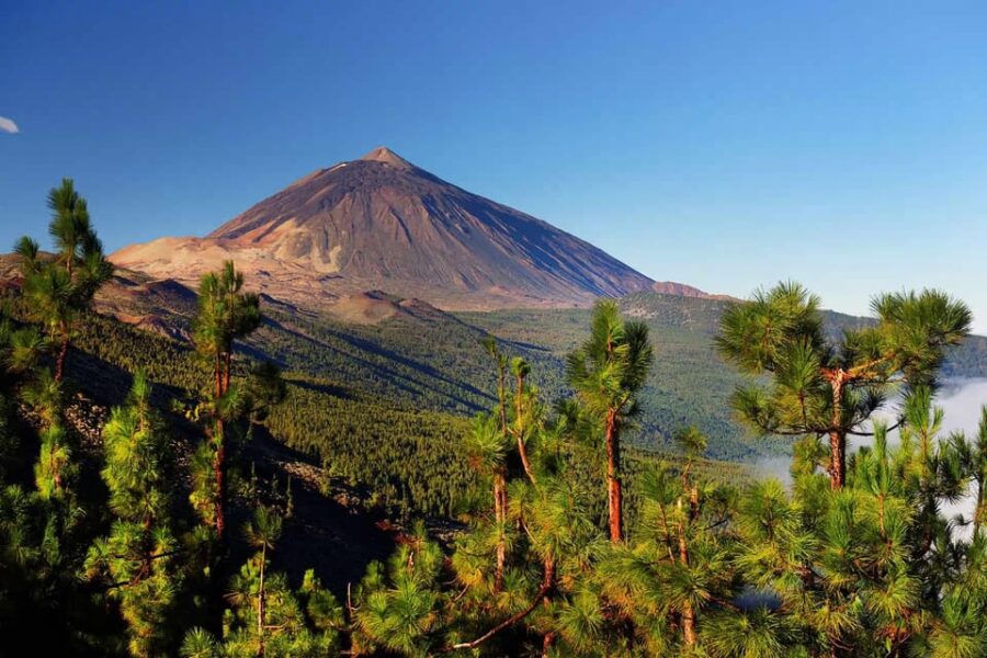 Tenerife: Jet Ski Tour With Option for Quad Trip