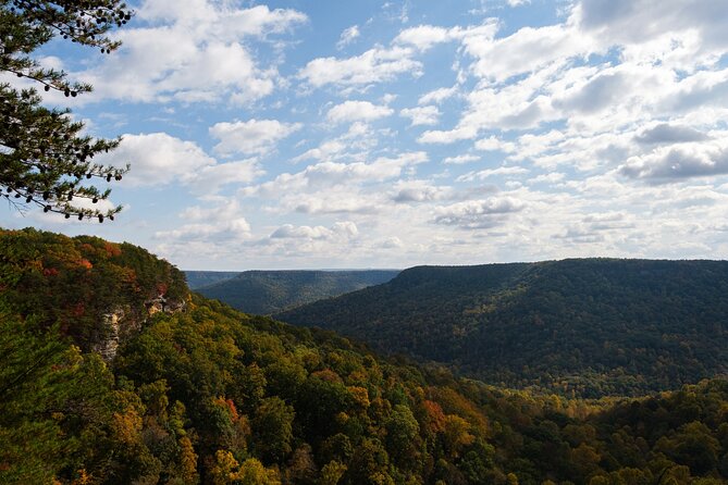 Tennessee Fall Colors Hiking Tour Review - Overview of the Tennessee Fall Colors Hiking Tour