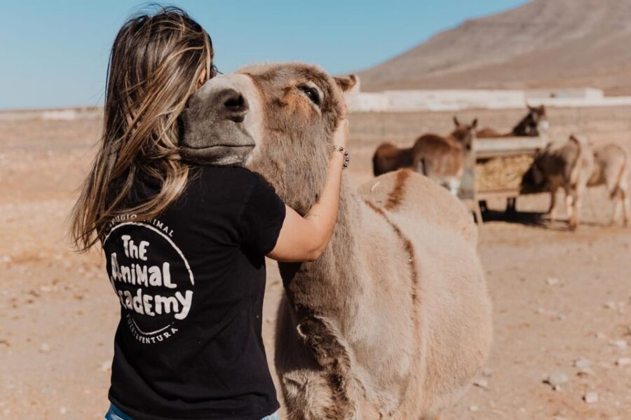 The Animal Academy – Shelter Tour