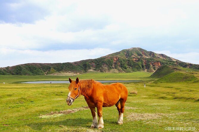 The Aso Caldera & WAGYU Lunch One Day Tour From Fukuoka