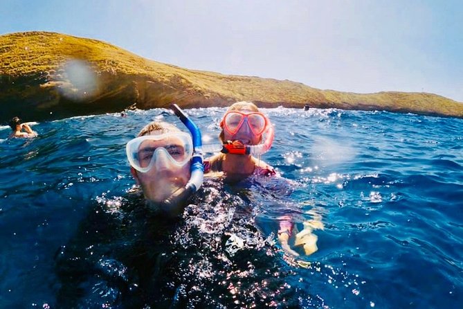 The Best 2 Hour Molokini Express Snorkeling - Snorkeling the Crater and the Back Wall