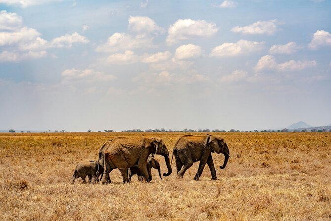 The Best 4 Days Serengeti & Ngorongoro Private Mid-range Safari