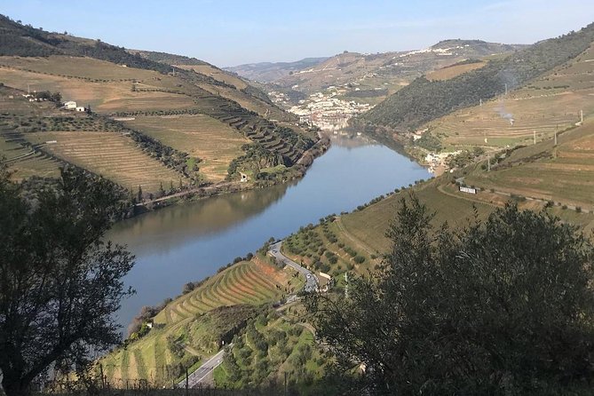 The Douro Valley Experience