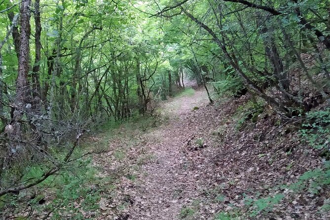 Thessaloniki to Naoussa, Wine Tasting Tour – Private Day Trip