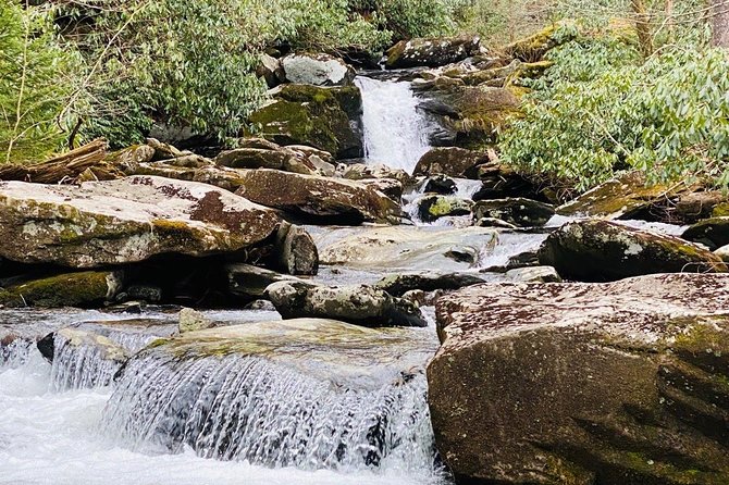 Thundering Streams and Falls of the Smokies Guided Hiking Tour