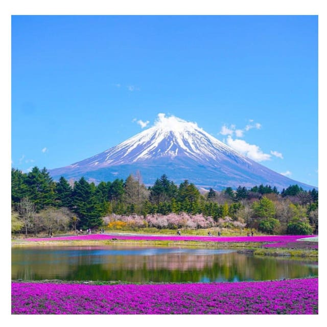 Tokyo: Mount Fuji & 5 Lakes Private Day Tour In Luxury Prado - Tour Overview