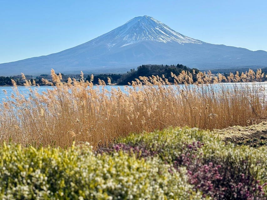 Tokyo: Mount Fuji & Hakone Private Customized Guided Trip