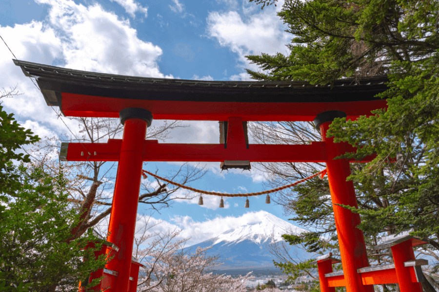 Tokyo: Mount Fuji Highlights Tour With Kawaguchi Lake Cruise - Tour Overview and Pricing