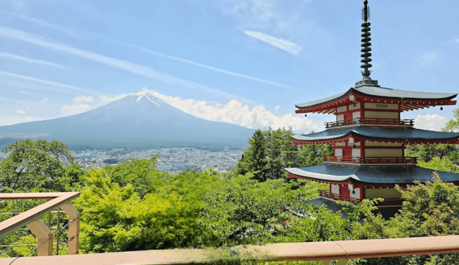 Tokyo: Mount Fuji Sightseeing Tour English Speaking Driver - Tour Overview and Pricing