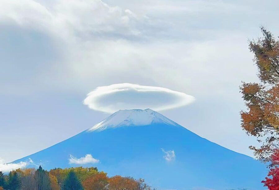 Tokyo: Mt. Fuji Cherry Blossom DayTrip & Yamanaka Hot Spring