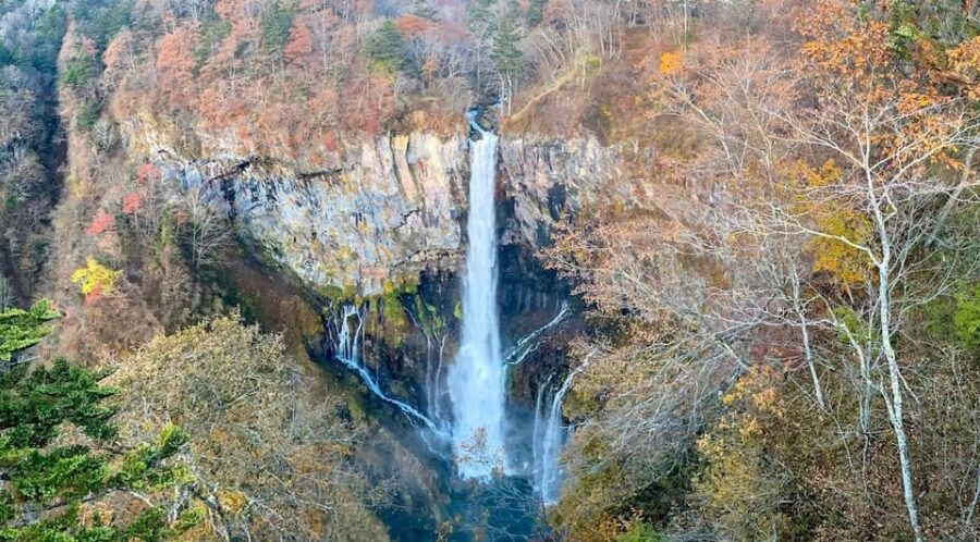 Tokyo: Nikko Private Day Trip With Toshogu Shrine Visit