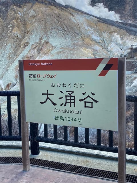 Tokyo: Private Day Trip to Mt. Fuji and Hakone With Guide