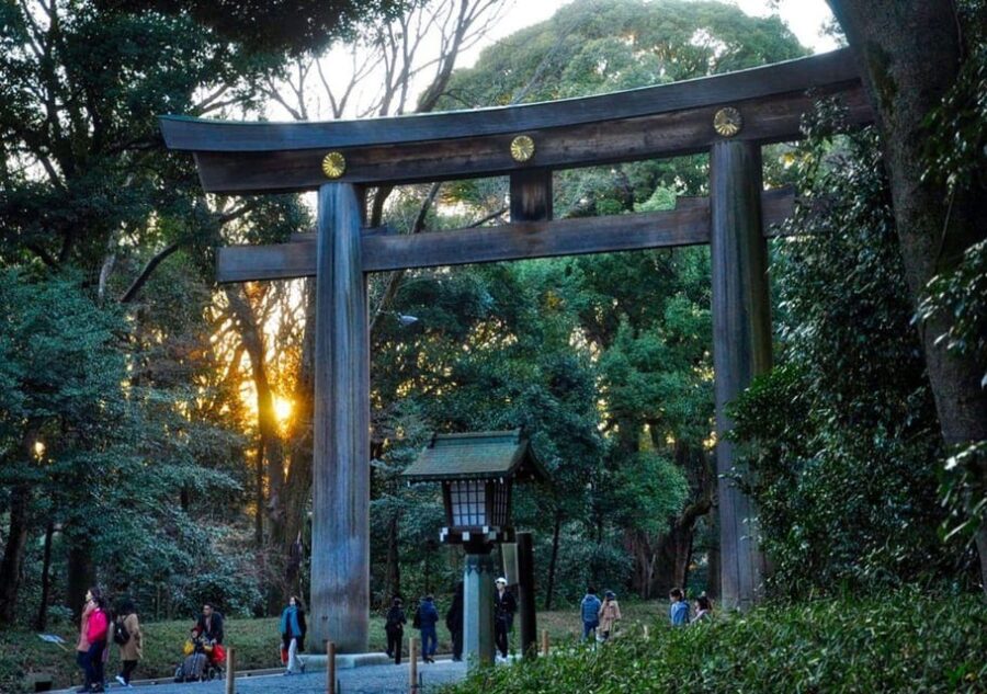 Tokyo Uncovered: A Luxury Day of Tradition & Tech