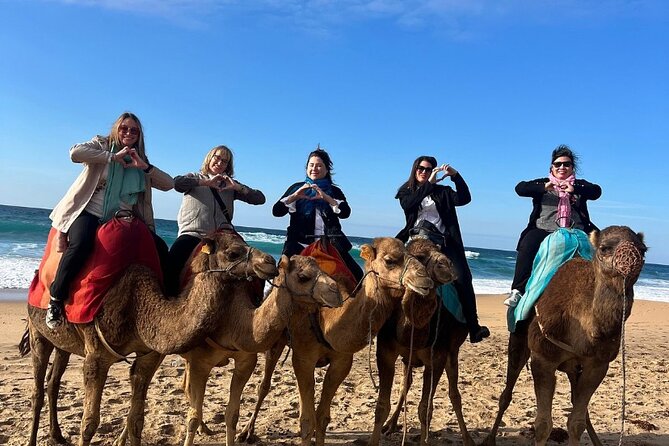 Top VIP Private Tour of Tangier From Estepona All Inclusive
