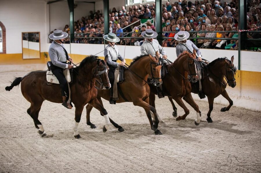 Torremolinos: Spanish Horse Show and Flamenco Option With Dinner