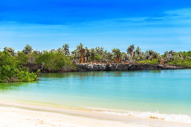 Tortuga Bay – Round Trip Shuttle – Punta Cana Airport