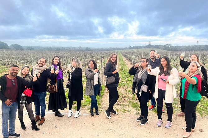 Tour 2 Wineries With Wine Visit and Tasting in Arrábida Lisbon - Tour Overview