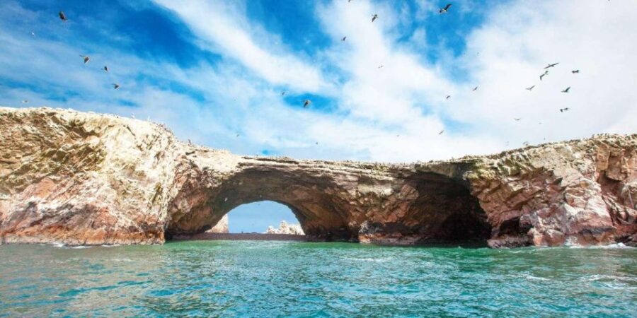 Tour: Ballestas Islands and the Paracas National Reserve - Tour Overview