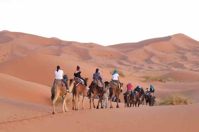 Tour From Marrakech to Fes 3 Days