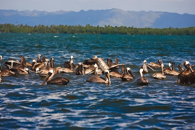 Tour of Los Haitises, Montaña Redonda, and Yanigua Waterfall in One Day