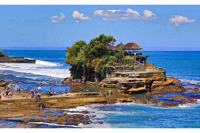 Tour: Ubud Monkey Forest-Jungle Swing-RiceTerrace-Tanah LotTemple