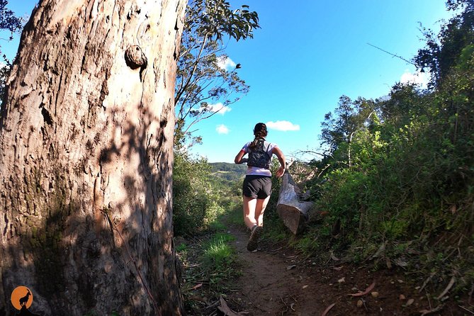 Trail Running in Coimbra