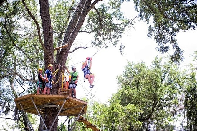 Treetop Express Zip Line Tour With 5 Zip Line Flights & 2 Sky Bridges Included