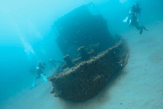 Trial Diving Tour That Even Inexperienced People Can Enjoy Safely