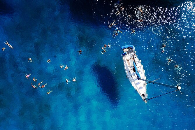 Turtle and Shipwreck Snorkel Private Tour in Barbados