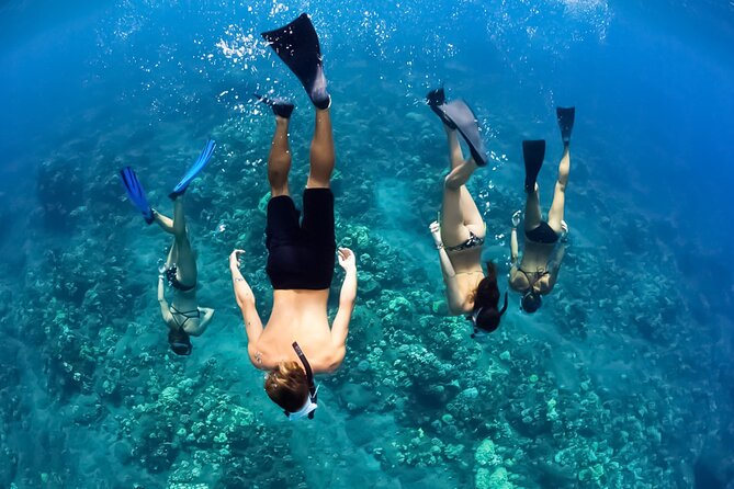 Turtles & Tacos Luxury Catamaran Snorkel - Meeting and Pickup