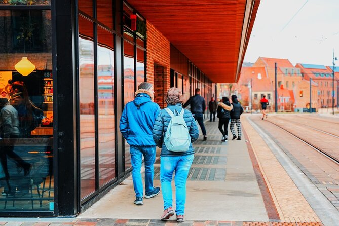 Two Hour City Tour Through the New Odense