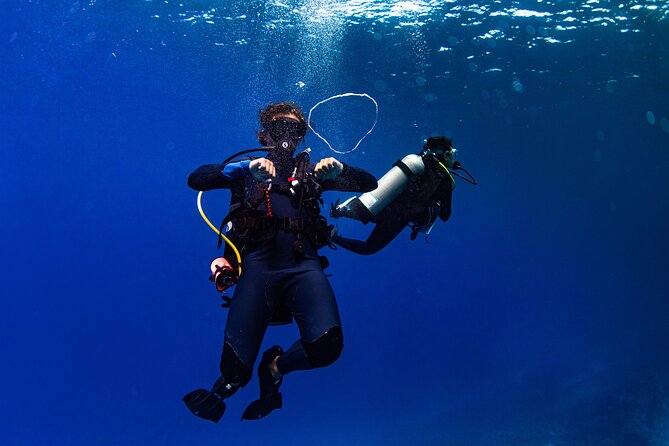 Two Tank Morning Reef Dive and Snorkel - Overview of the Two Tank Morning Reef Dive and Snorkel