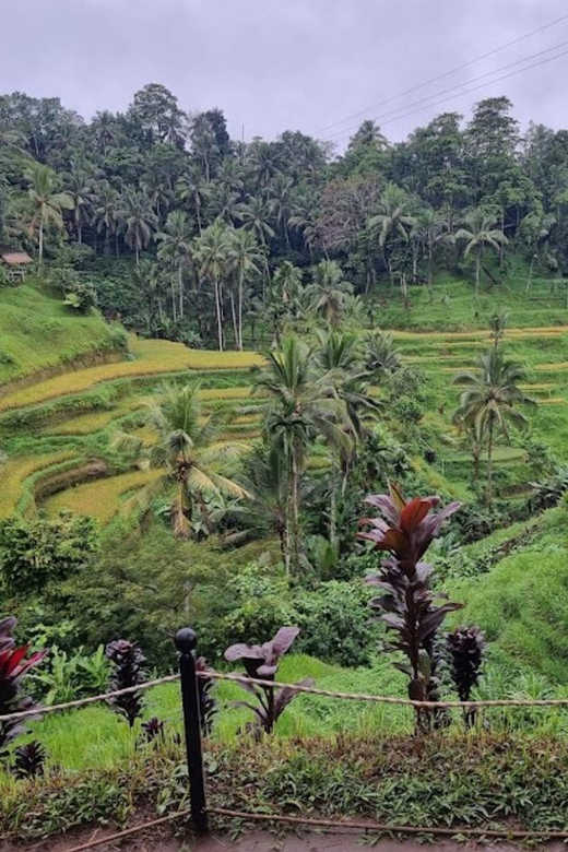 Ubud : Barong Dance, Temple, Rice Terrace & Waterfall