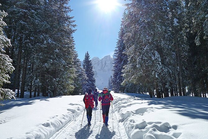 UNESCO Dolomites Great Expedition From Venice
