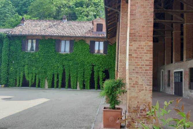 Unique Wine Tasting at the Winery of the Marchesi Incisa Della Rocchetta
