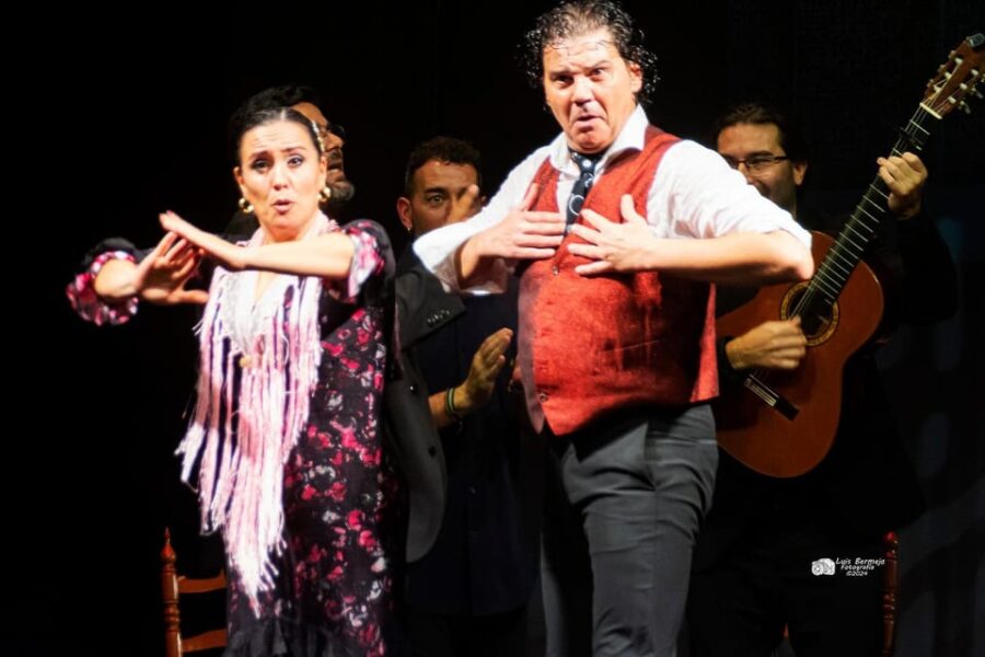 Valencia: New Flamenco Show in the Most Emblematic Theater of the City - Event Overview