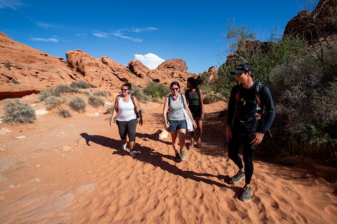 Valley of Fire Guided Hiking Tour and Mojave Desert Adventure - Tour Overview and Details