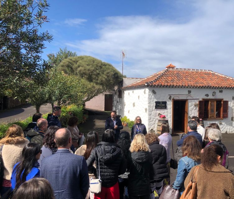 Valley of Tegueste: Wine Tour With Tasting at El Lomo Winery - Tour Overview