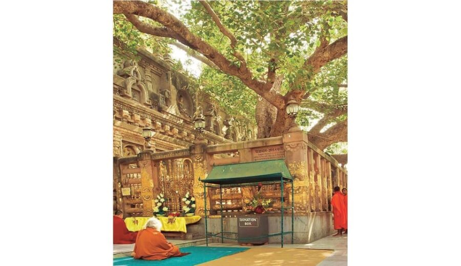 Varanasi to Bodhgaya : a Day Trip of Enlightment Exploration