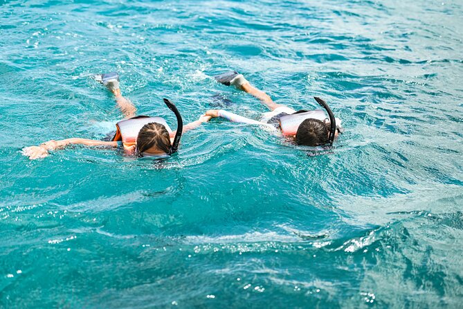Venture Wildlife Snorkel Charter From Ko Olina - Meeting and Transportation Details