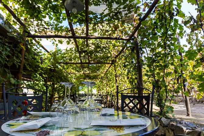 Vigna Taste: Discover the Ancient Wine Culture From Pompeii
