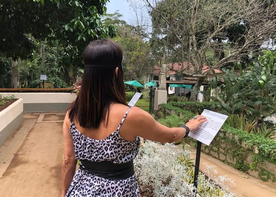 Visit Rio’s Botanical Garden: Nature, History, and Wildlife