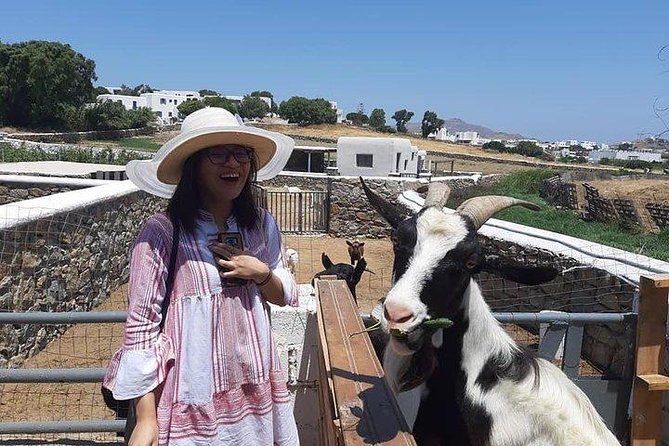 Visit the Mykonian Farm in Mykonos