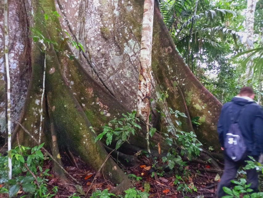 Visit Yagua Indigenous Community - Tour Overview