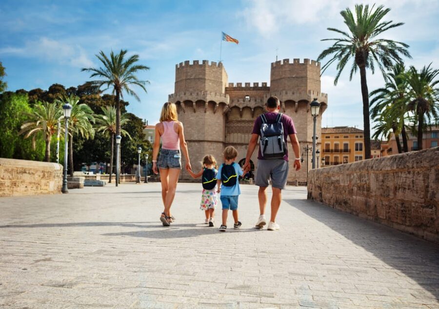 Walking Tour Through Valencias Historic Centre - Tour Overview