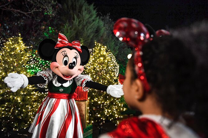 Walt Disney World Special Event Tickets - Inclusions Breakdown