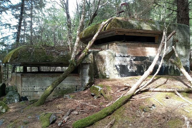 War Bunkers and Wildlife Kayak Tour in Sitka, Alaska